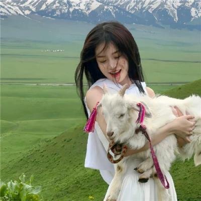 黎明前的拉达克 海报